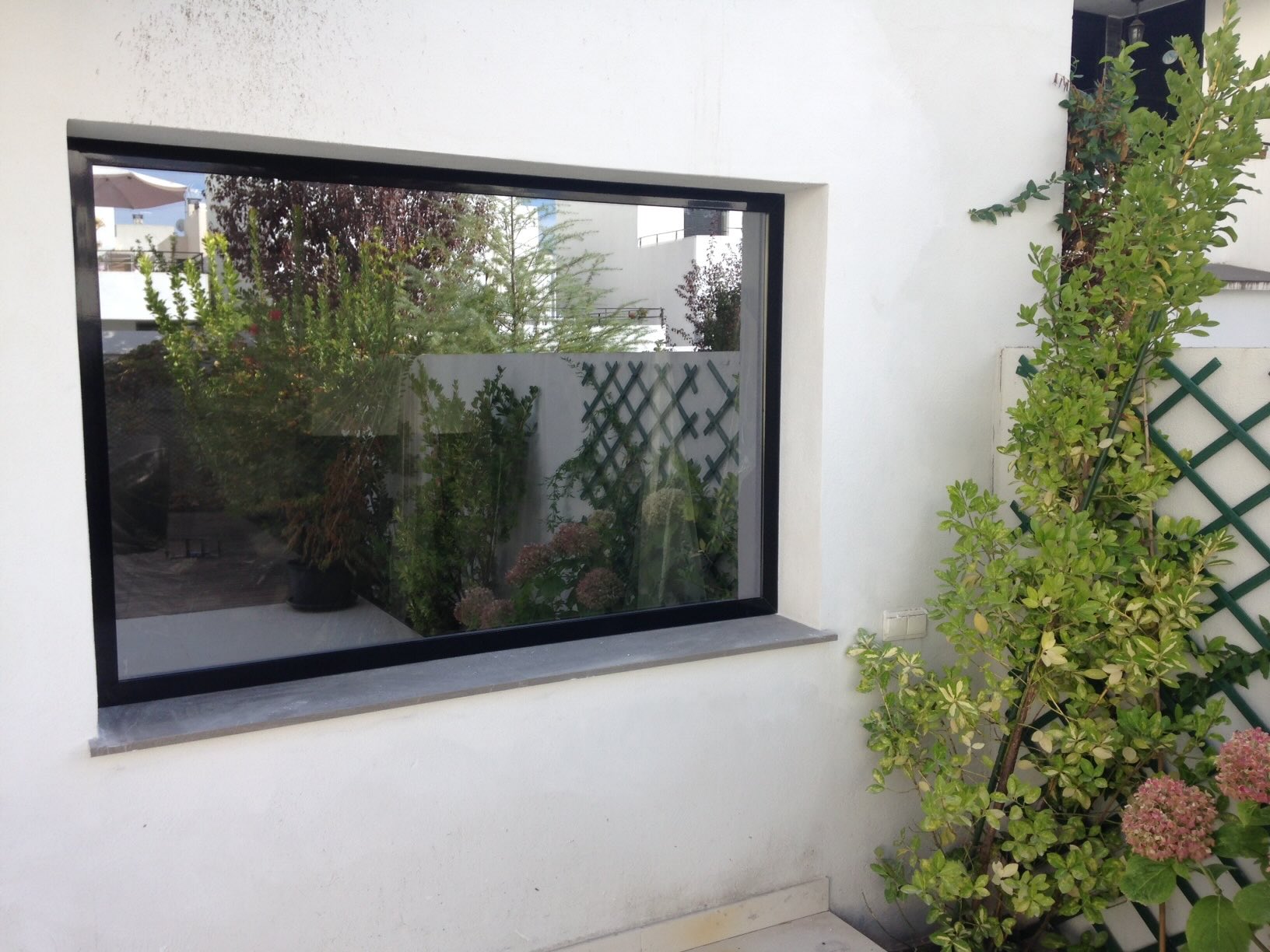 Ventana fija de perfil negro en una pared blanca, con plantas trepadoras alrededor